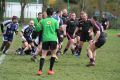 RUGBY CHARTRES 113.JPG